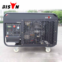 Bison China 10kva Portable Diesel Generator fournisseurs moteur générateur de 10 kW à vendre Philippines